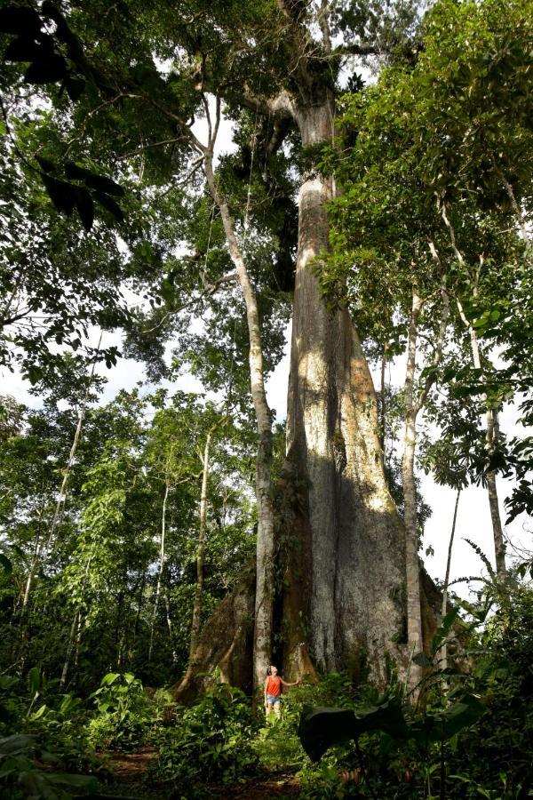 Misahualli Amazon Lodge Ngoại thất bức ảnh