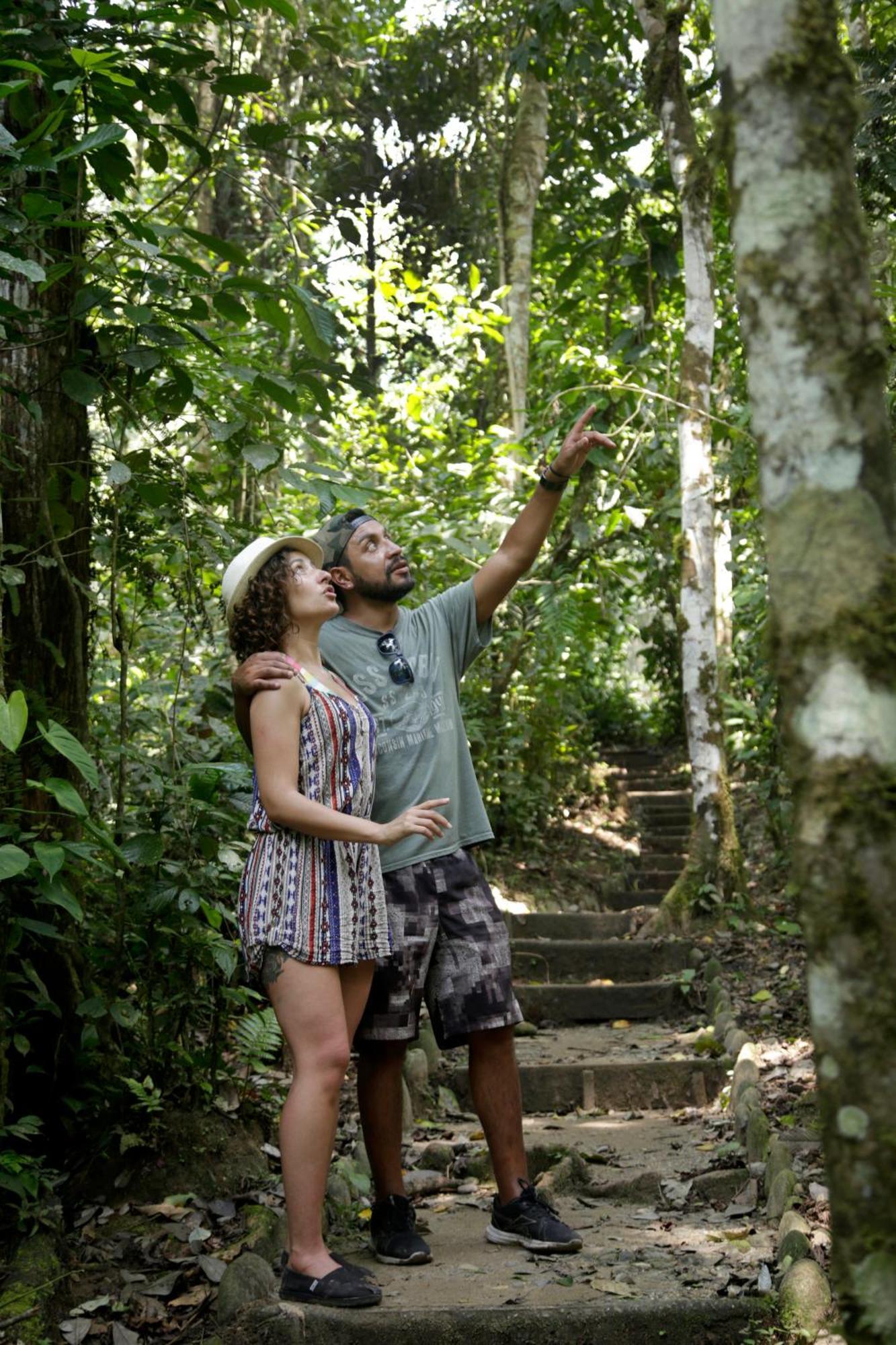 Misahualli Amazon Lodge Ngoại thất bức ảnh