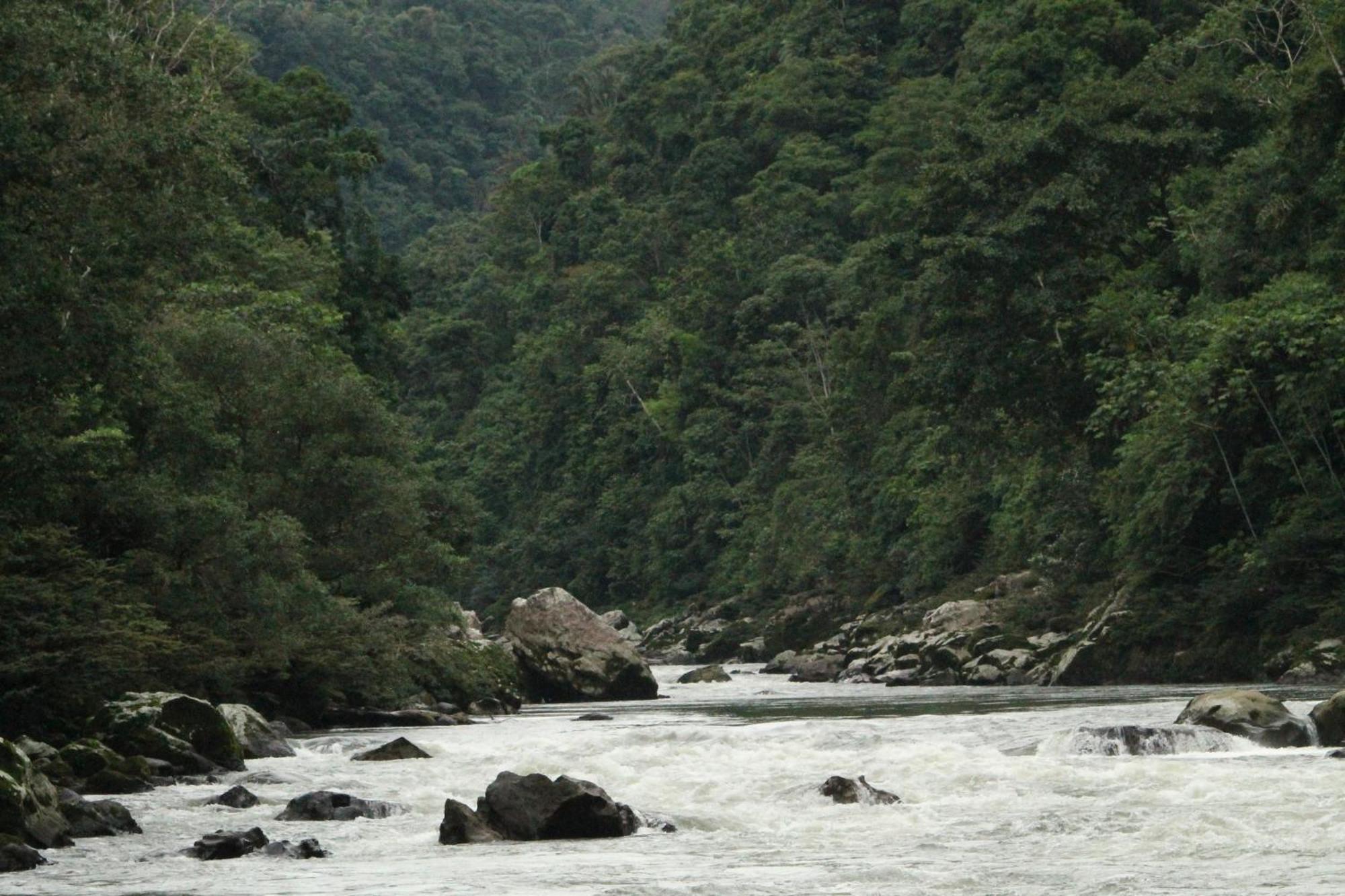Misahualli Amazon Lodge Ngoại thất bức ảnh
