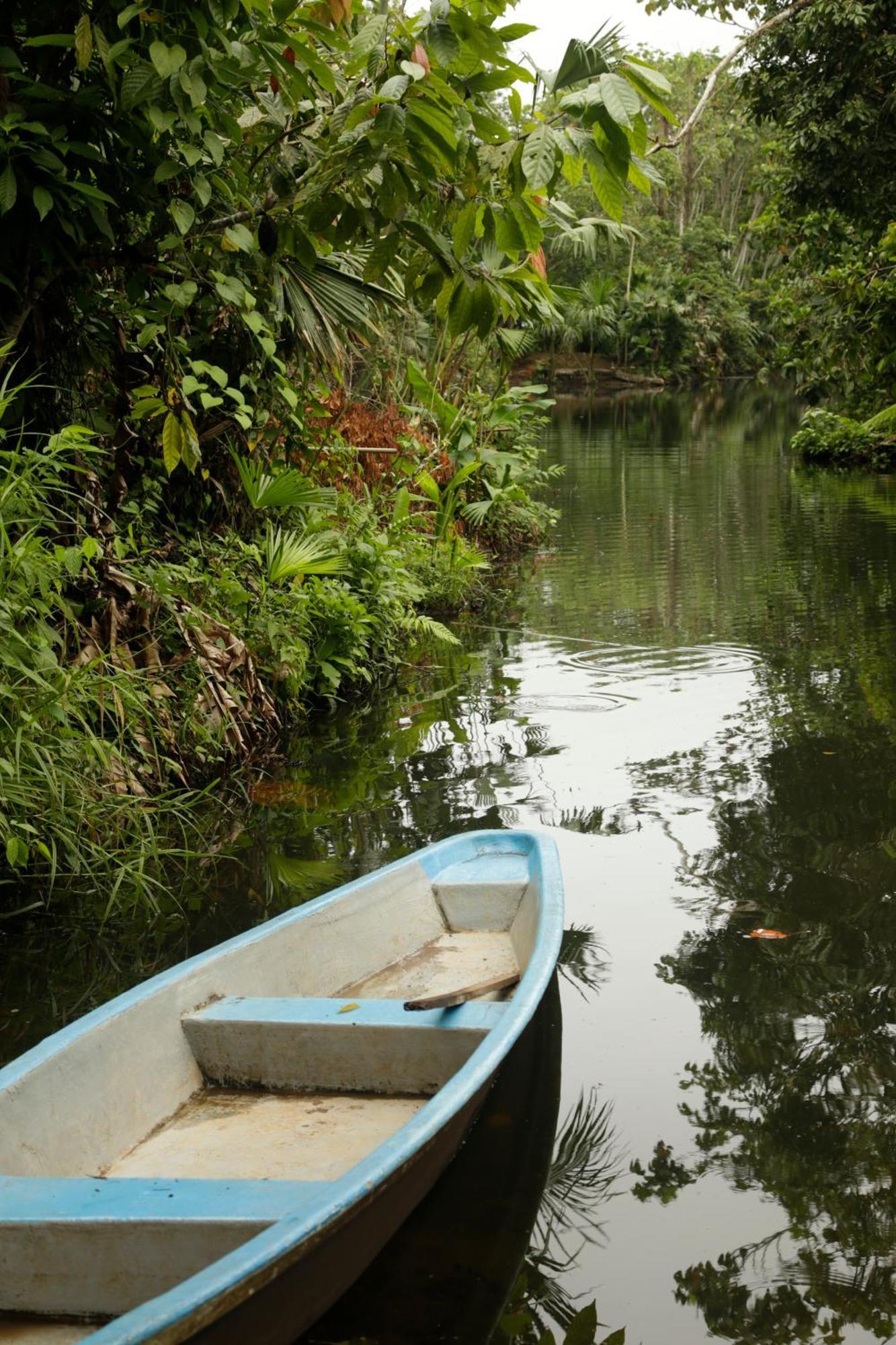 Misahualli Amazon Lodge Ngoại thất bức ảnh